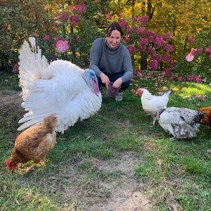 Meet your Posher, Angel